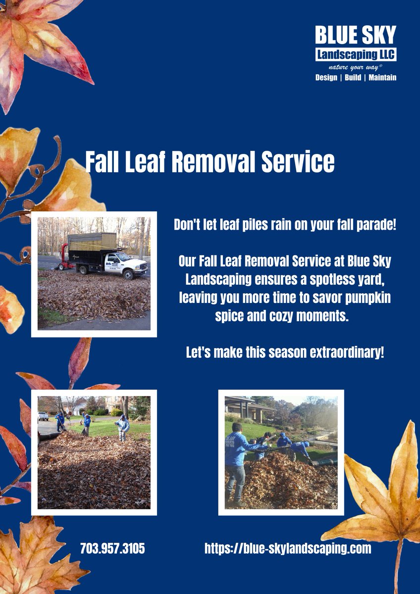 Embrace the beauty of fall without the hassle! 🌳 Our Fall Leaf Removal Service at Blue Sky Landscaping ensures your yard stays pristine and leaf-free. Let nature's colors shine while we handle the cleanup.

703.957.3105
blue-skylandscaping.com/fall-clean-up

#FallCleanup #LeafRemoval