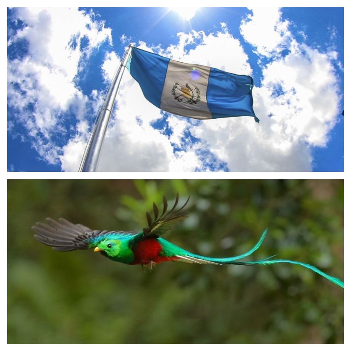 BelieveGuate's tweet photo. Pray 🙏🏽 for Guatemala as we have elections today!
We pray that God will choose the right person for these next 4 years and that we will have a free country! https://t.co/DVcWRWoDBO
