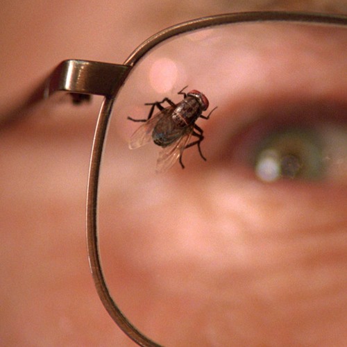 DylanCroal's tweet photo. Christopher Buggington, also known as the fly from Breaking Bad, died this morning from a cocaine overdose at the age of 36. Family says he picked up this drug habbit after the ending of the show and will be greatly missed. https://t.co/YLLktV4Fg9