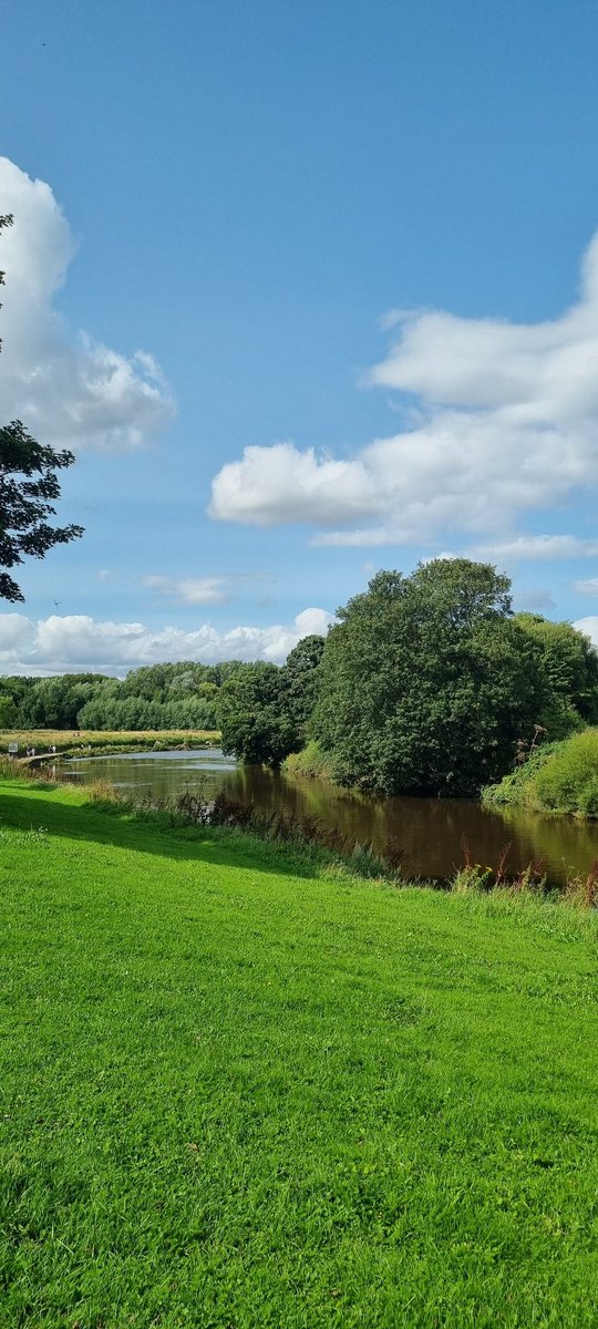 Chester le Street Park 💕