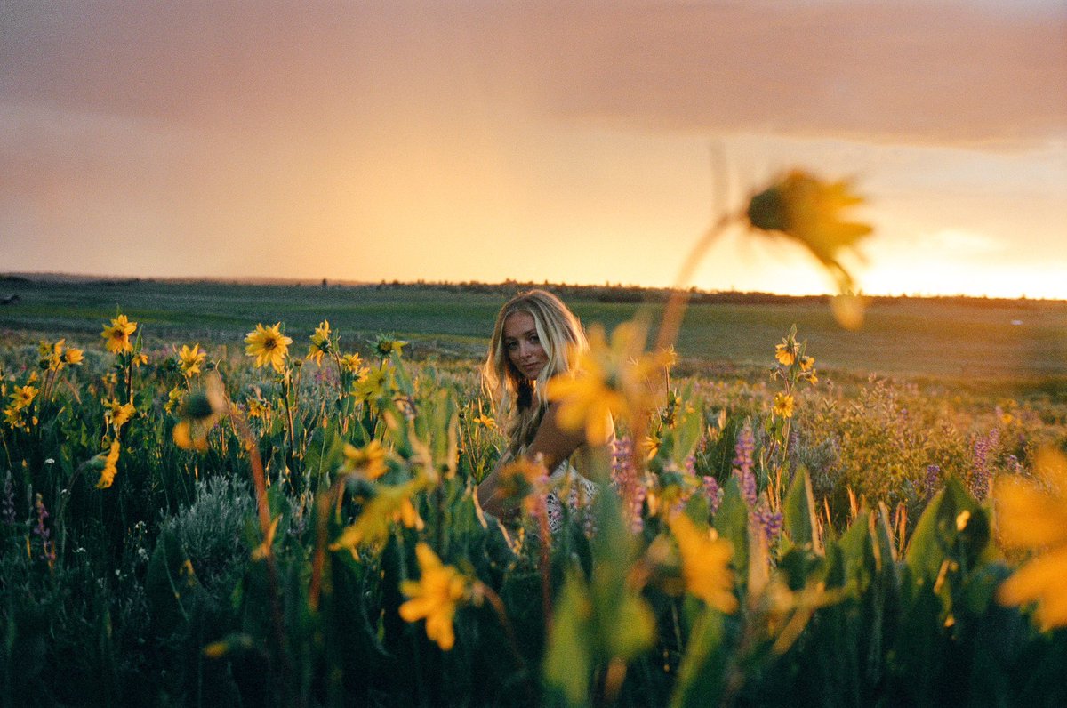 Portra Papi tweet media