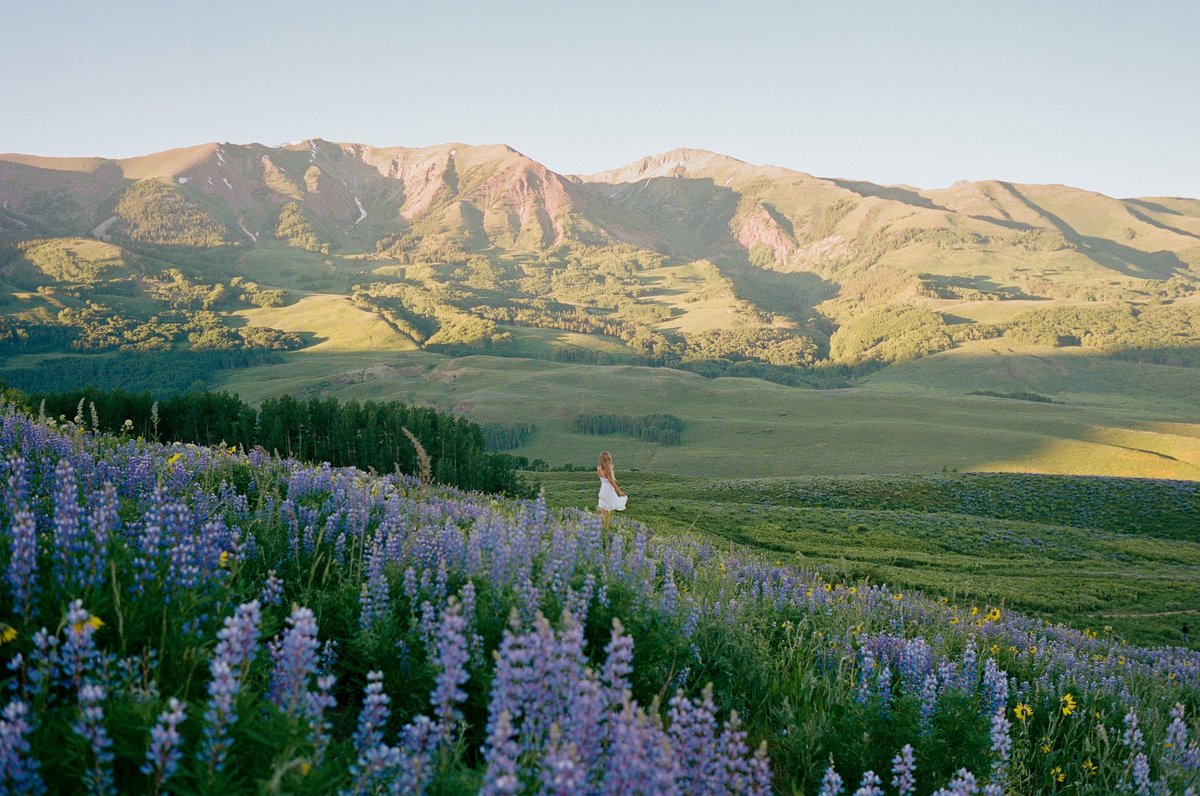 Portra Papi tweet media