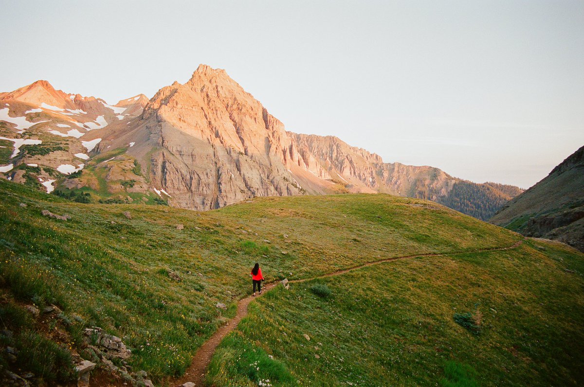 Portra Papi tweet media