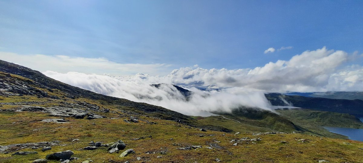 kwieperd's tweet photo. Mag wel zo....

#vakantie #Norway #norwayoflife https://t.co/u0oSBRuC2h