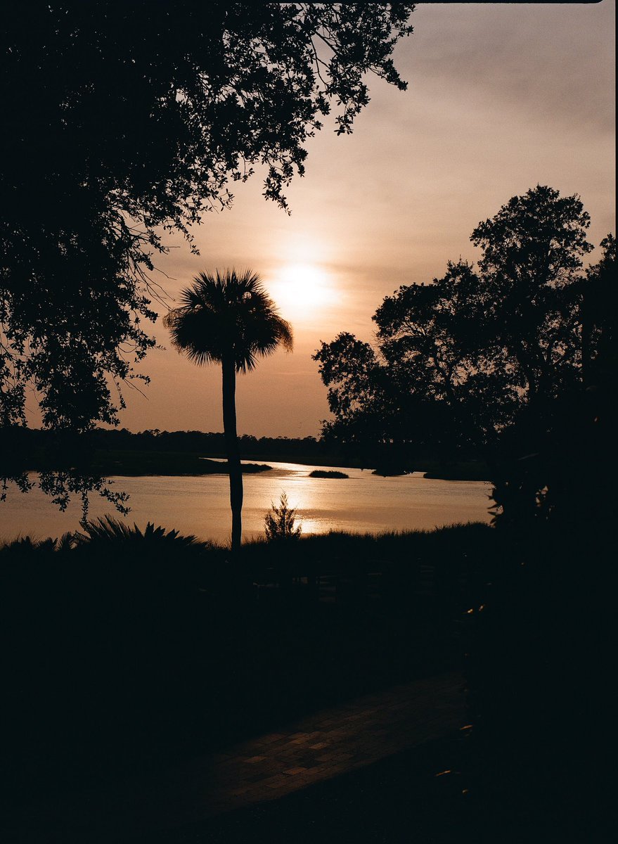 StoffelMatt's tweet photo. A @SeaIslandResort sunset on film

#kodak #portra #mediumformat #film #filmfeed #filmcommunity #analog #120film #35to220 #ishootfilm #featurepalette #heyfsc #filmstagraeme #colordyes #photofilmy #back2thebase #everybodyfilm #filmwave https://t.co/sjXGsJJOE5
