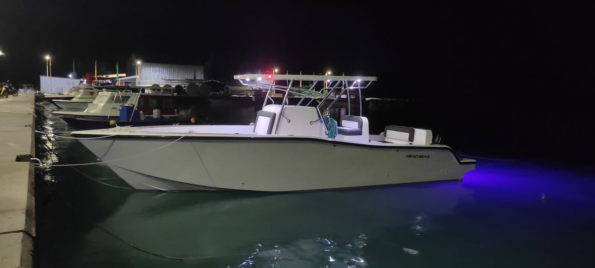 HEAD SEAS tweet media