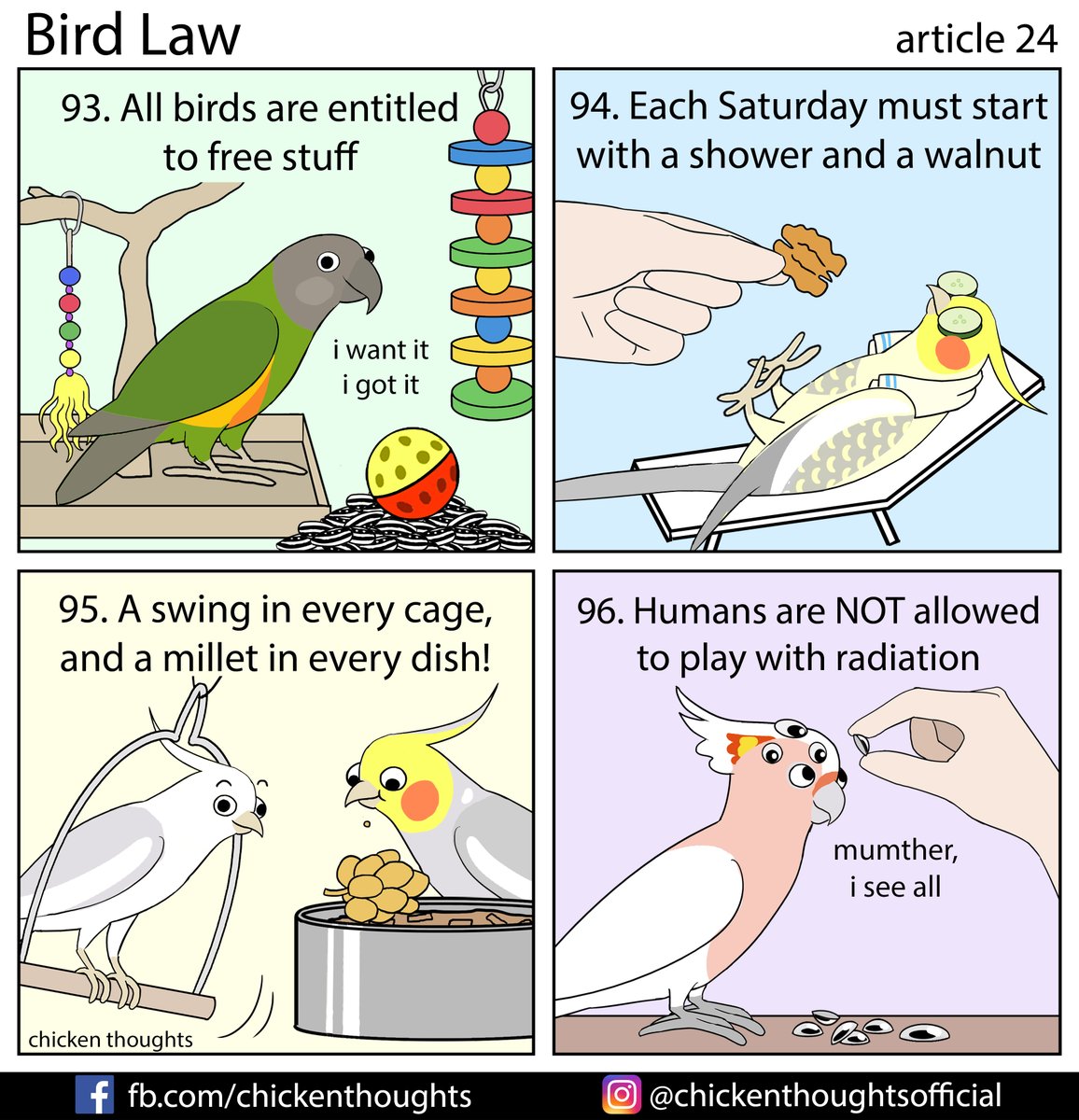 \u300cBird law article 22 starring Kirri, Ebrah, Sebastian, and Ca\u300dChicken Thoughts\u306e\u6f2b\u753b