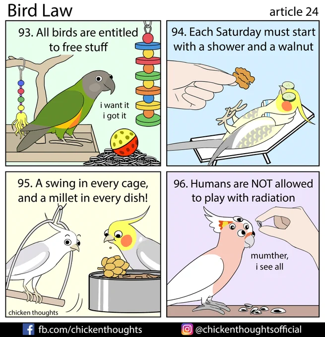 Bird law article 24 starring Pierre (human: Mickyle Warren), Dee, Josephine &amp; Rochester, and Kora the Explorer! 