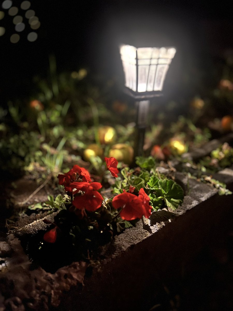 desertique's tweet photo. Hace un año me detectaron células malas malotas malototas, o sease cancerígenas, pero ya se fueron, con fe en Dios, con procedimiento quirúrgico, con estilo de vida diferente, con disciplina. Ya sólo toca seguimiento cada 6 meses. Cuídense y cuiden a “su pareja”. ¡Viva la vida! https://t.co/nvw1RDHAHh