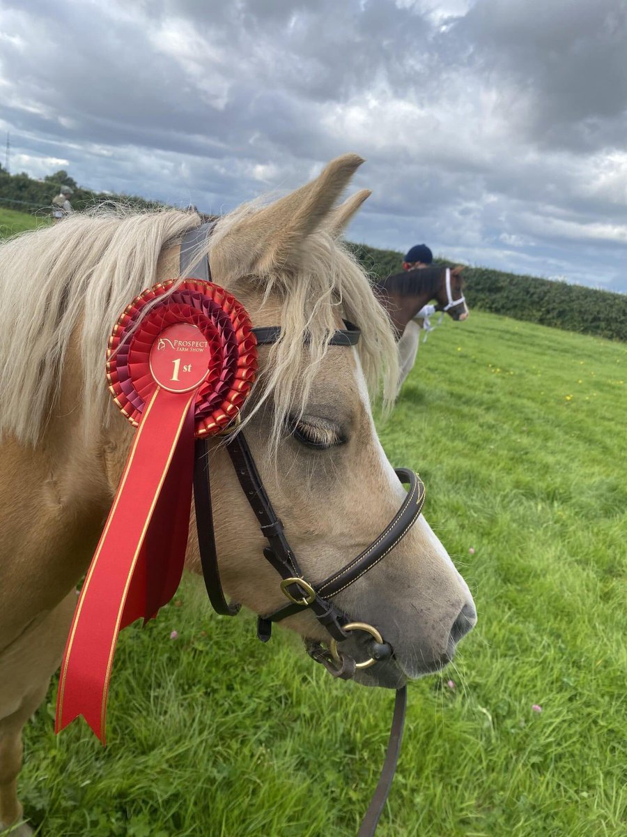 Our lovely Nutty who went to Carr Hey Stables last year to be a riding school pony, went to a show today and came home with a 1st. Well done Nutty and Meg (a pupil at the riding school) x
