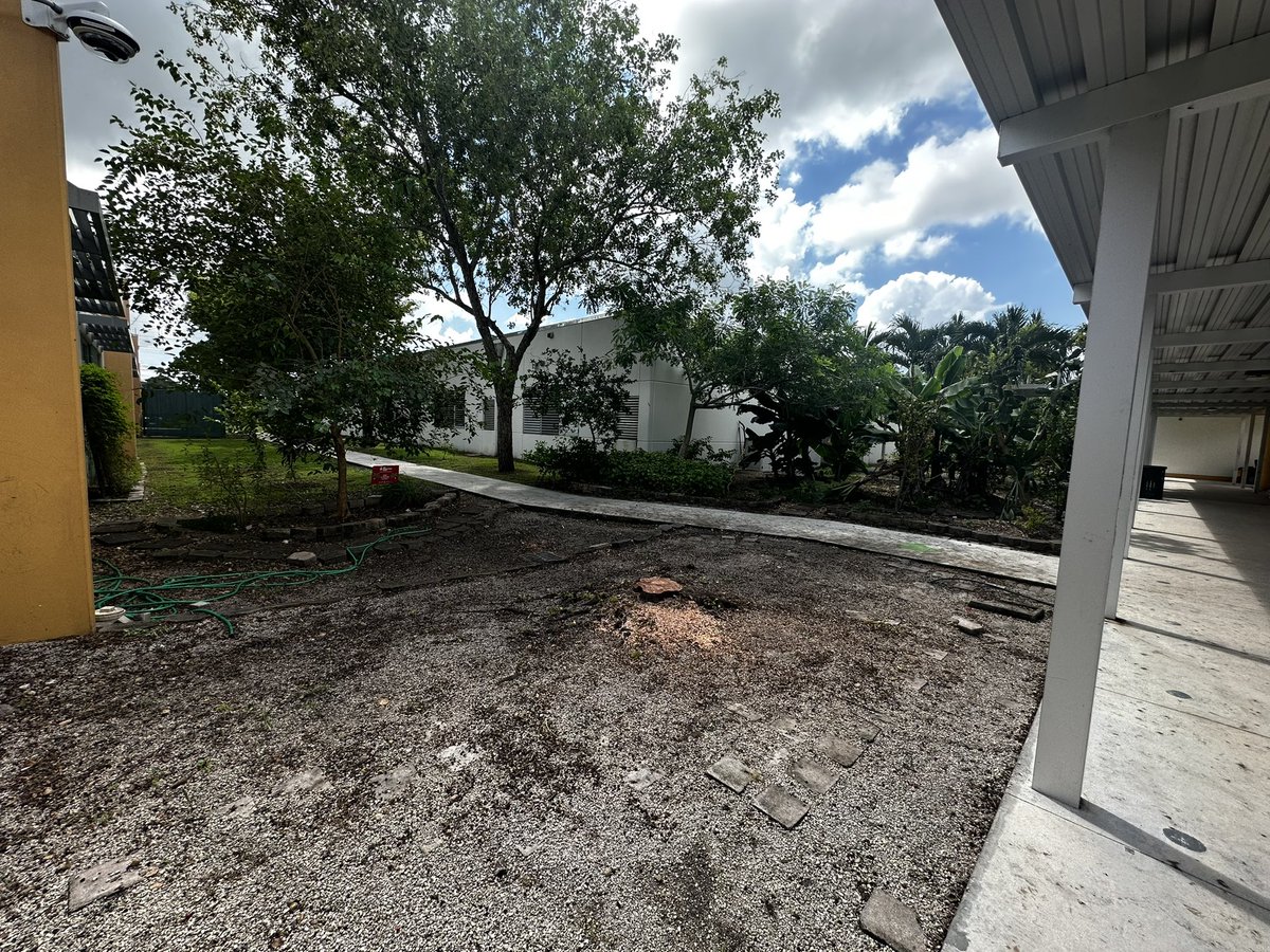 I guess the 🦗 from @MDCPS @SuptDotres @MonicaColucciFL went with the landscape! #shameonyou 4 allowing the removal of all our public school trees! Especially from @FairchildGarden and @EducationFund #foodforrest now the bare school looks like a prison @isasg1067 @TLCabrera3