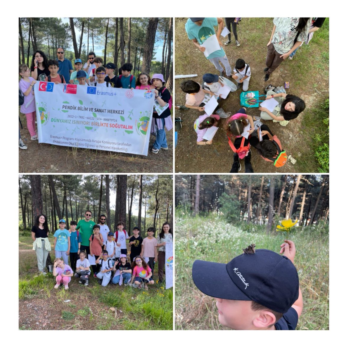 PendikBilsem's tweet photo. Foundation for Environmental Education ve TÜRÇEV işbirliğiyle gerçekleştirilen Okullarda Orman projesi kapsamında kurumumuz bayrak ve sertifika almaya layık görülmüştür. Koordinatör öğretmenimiz Uğur ATİK ve öğrencilerimi tebrik ederiz. @BilsemMeb @erdalkilinc27 @PendikMEM https://t.co/0a5FGDhM8V