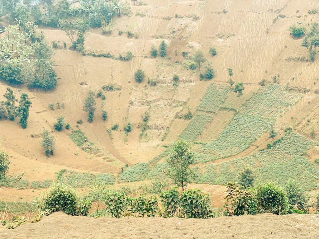 Ernestebikorim1's tweet photo. Urwina rwa Ngunda one of Historical site in Rubavu, it's formed as a funnel from the top though it's been used as an earth oven for drying bananas, it posses lots of story, who ever feels like he/she interested in Ngunda's reach to us address is in the bio of this account✍️💯 https://t.co/G2XNQb658c