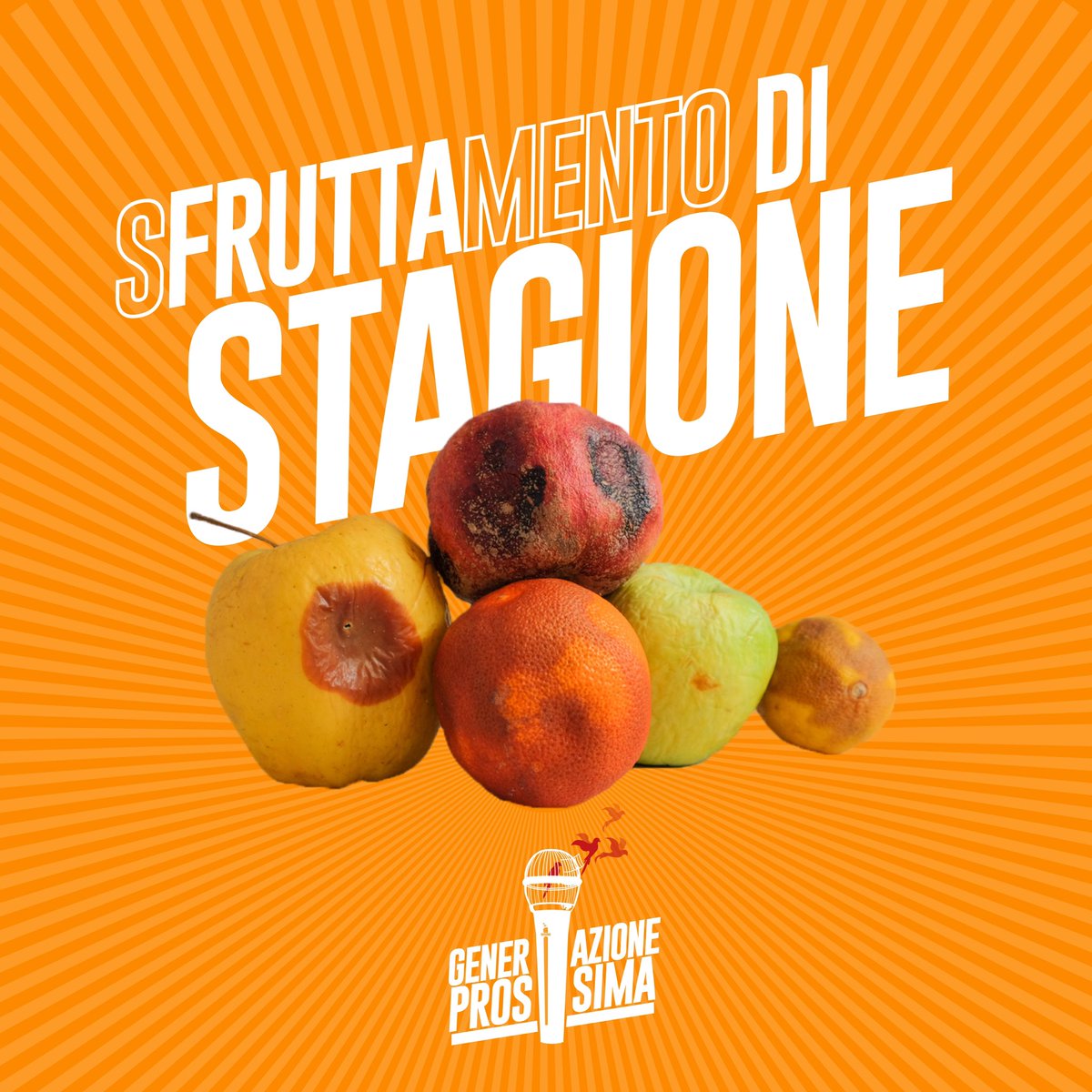 genprossima's tweet photo. Invisibili, i lavoratorə stagionali sono una categoria sfruttata e mal tutelata, latenti di protezioni sociali, diritti e benefici adeguati.

Noi di Generazione Prossima siamo al fianco di tuttə i lavoratorə stagionali.
È bene ricordare che il lavoro nobilita, non lo sfruttamento https://t.co/lQ8qn7FC9O