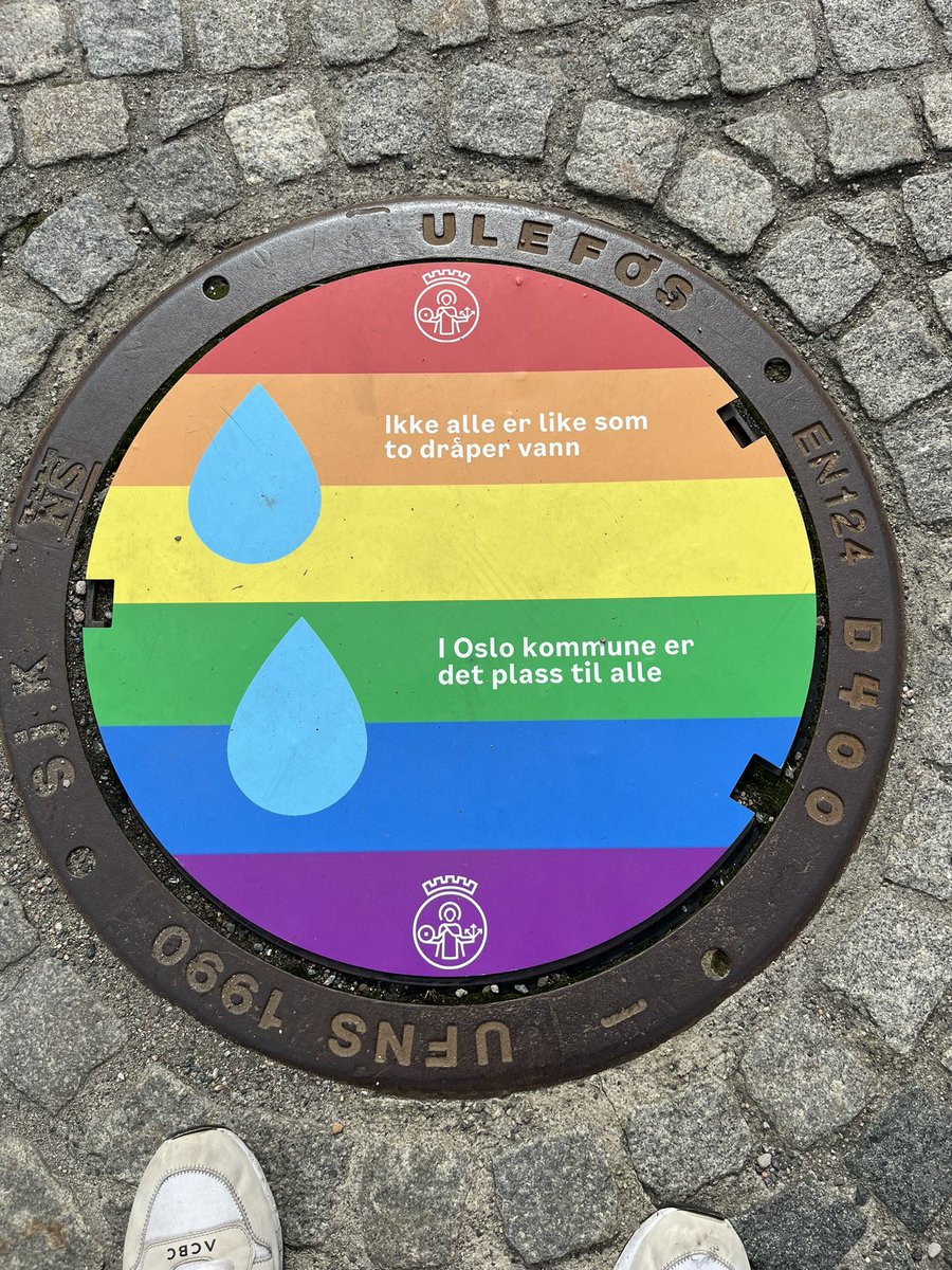 Di Cagno MP tweet media