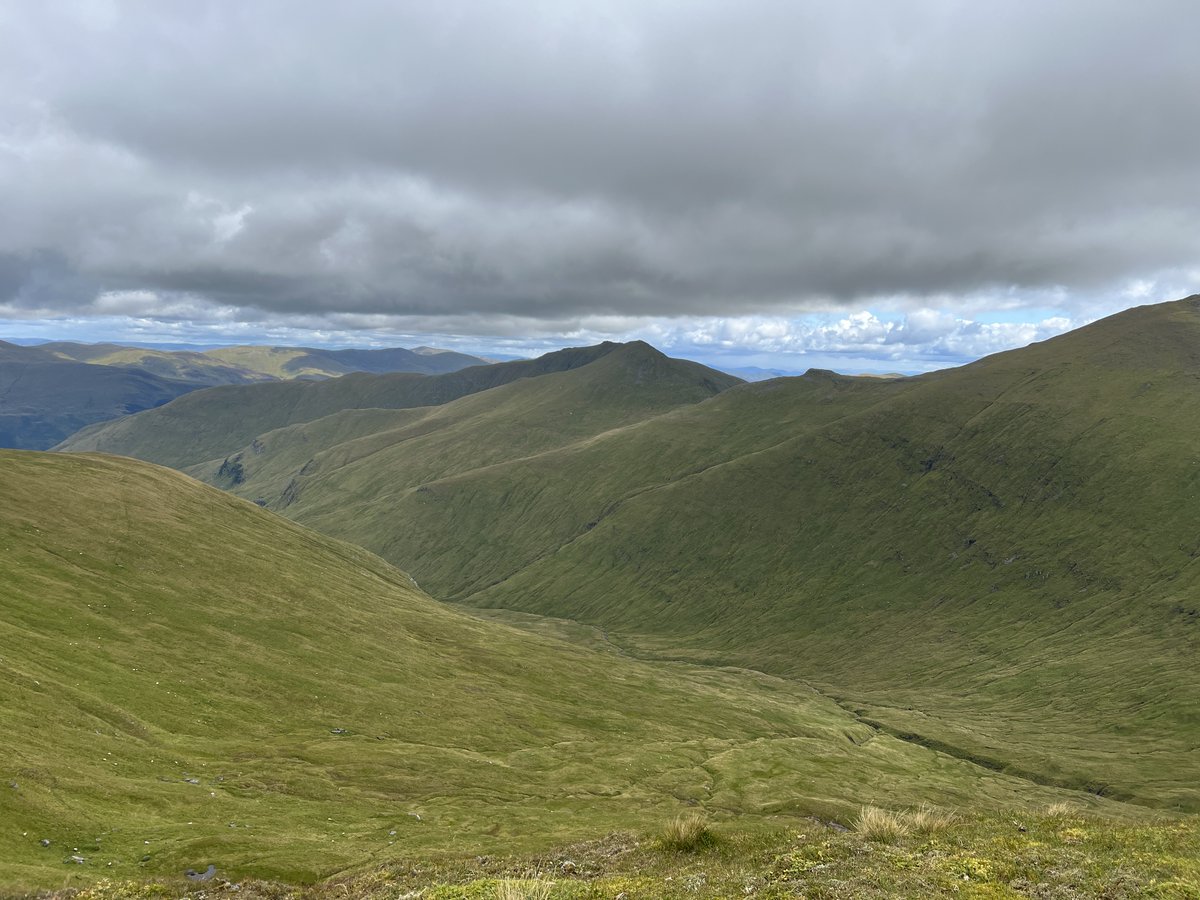Rewild Scotland 🏴󠁧󠁢󠁳󠁣󠁴󠁿🌳 tweet media
