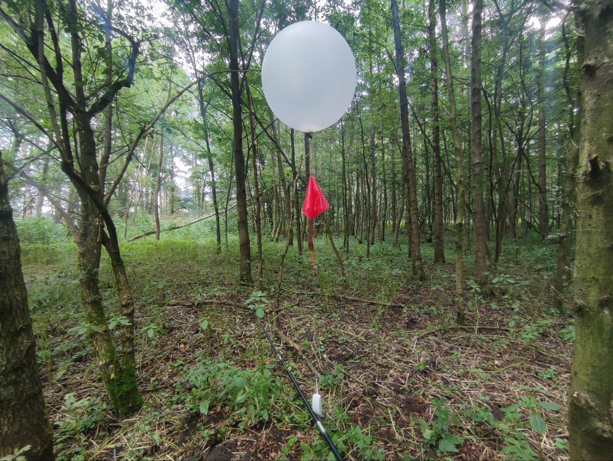 Und noch eine Amateur-Sonde aus dem Baum geholt. Gestartet bei Wuppertal und gelandet nähe Bielefeld :) #radiosonde #sondehub amateur.sondehub.org/#!mt=Mapnik&mz…