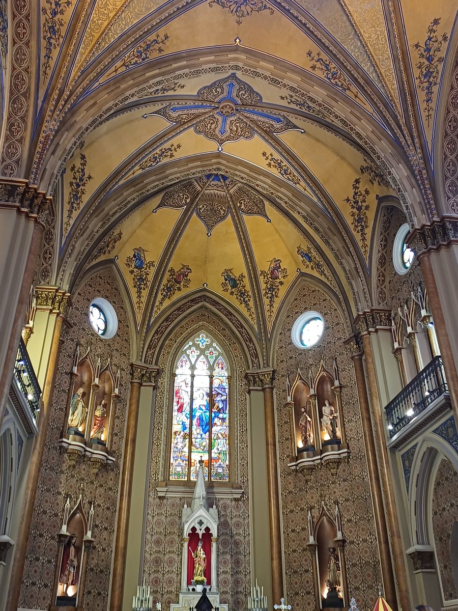 AnaMoretto4's tweet photo. #YellowSunday
#StainedGlassSunday
#ChurchWindows
Cathedral of Curitiba, Our Lady of Light. https://t.co/tErXNfUYf0