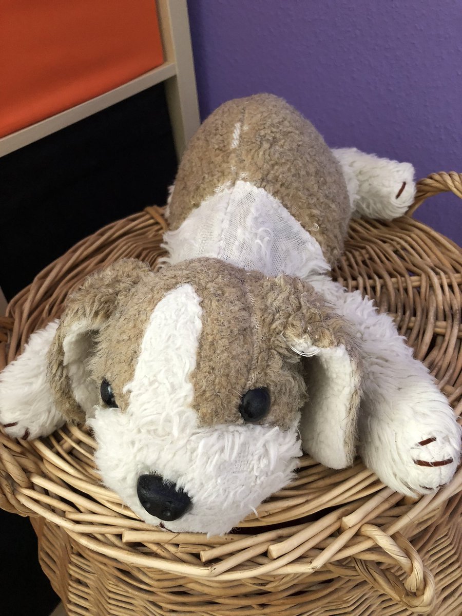 Abysinier's tweet photo. @RauhaarB @beren_linkehand Mein geliebter „Flocki“. (Wurde bereits einmal von einem Puppendoktor aufgehübscht). Sein Bauch ist immer noch flauschig. https://t.co/2tabN3Emsk