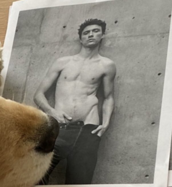 dreamingofbix's tweet photo. jacob bixenman = hottest man on earth https://t.co/B26ONvx695