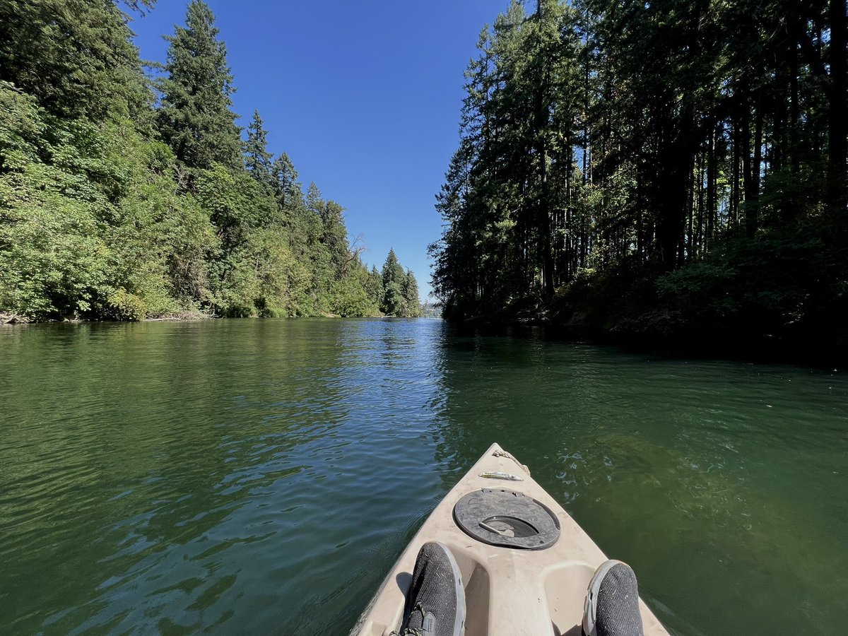 #WillametteRiver in West Linn’s Willamette Park trip