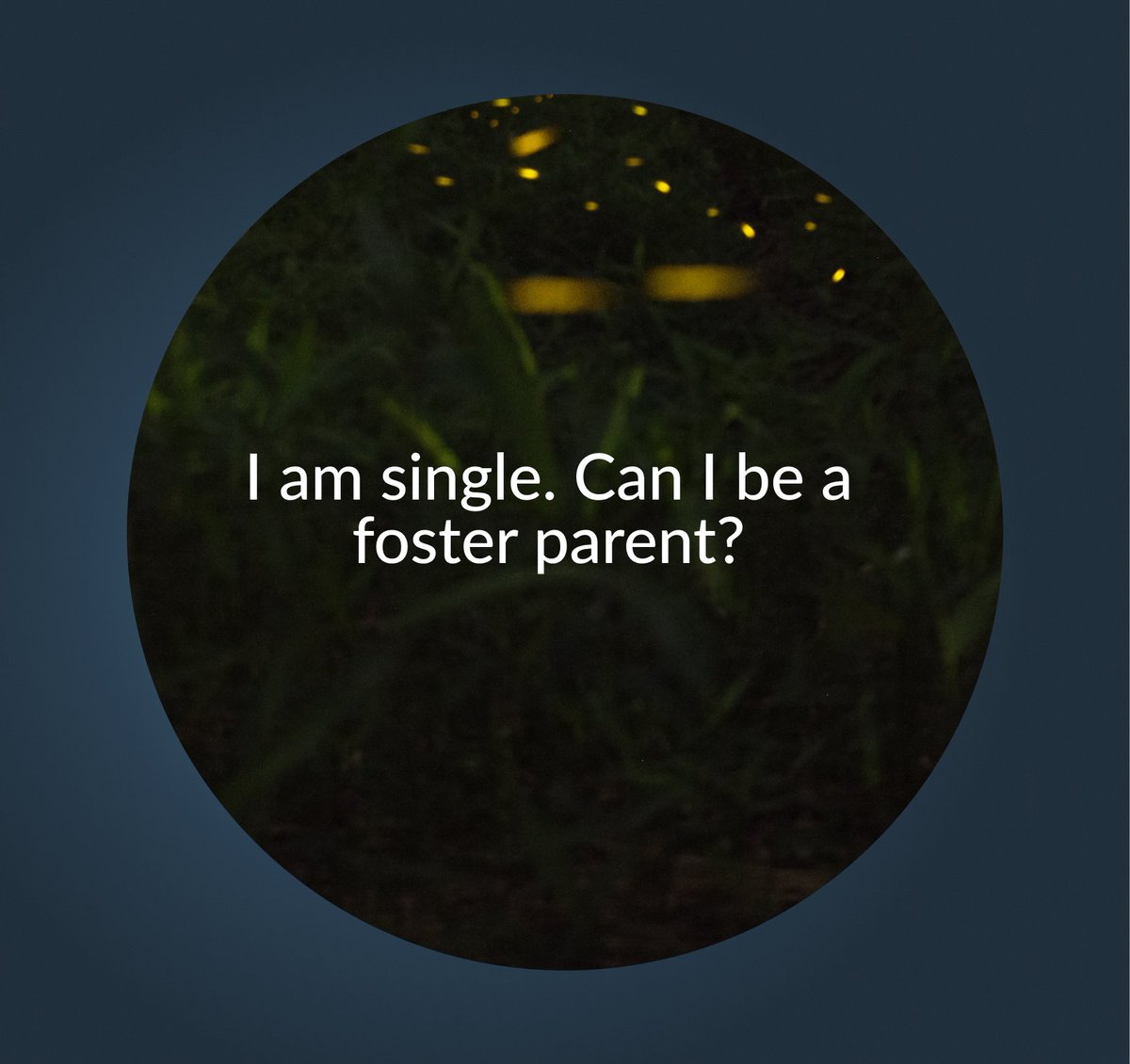 Firefly Children & Family Alliance tweet media