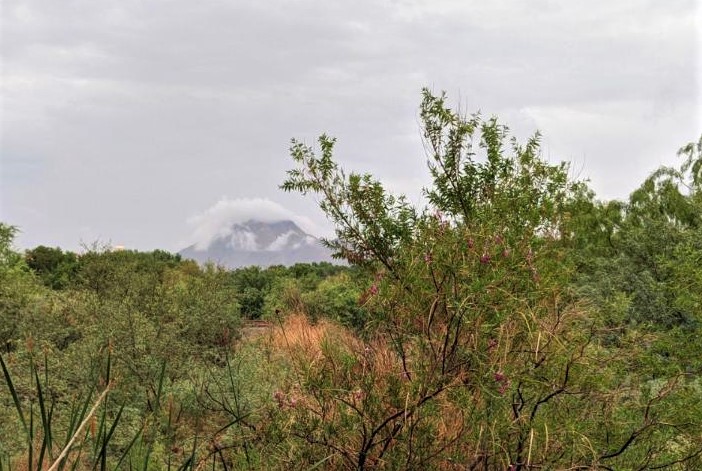 The Clark County Wetlands Park Nature Center will be closed today, Sunday, August 20. #VegasWeather <a href="/ClarkCountyNV/">Clark County Nevada</a> <a href="/ClarkCountyPark/">clarkcountypark</a>