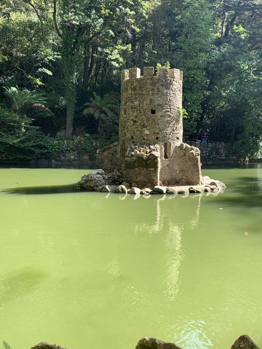 Esta es mi fotografía preferida

Por lo iniciático de aquel viaje,lo que sentí en ese momento,lo que añoré y lo que soñé
Y se cumpla o no todo esta en ella

Jardines Palacio da Pena
Sintra

Solo la fotografía tiene el poder de detener el tiempo
W. Boyd

#diamundialdelafotografia