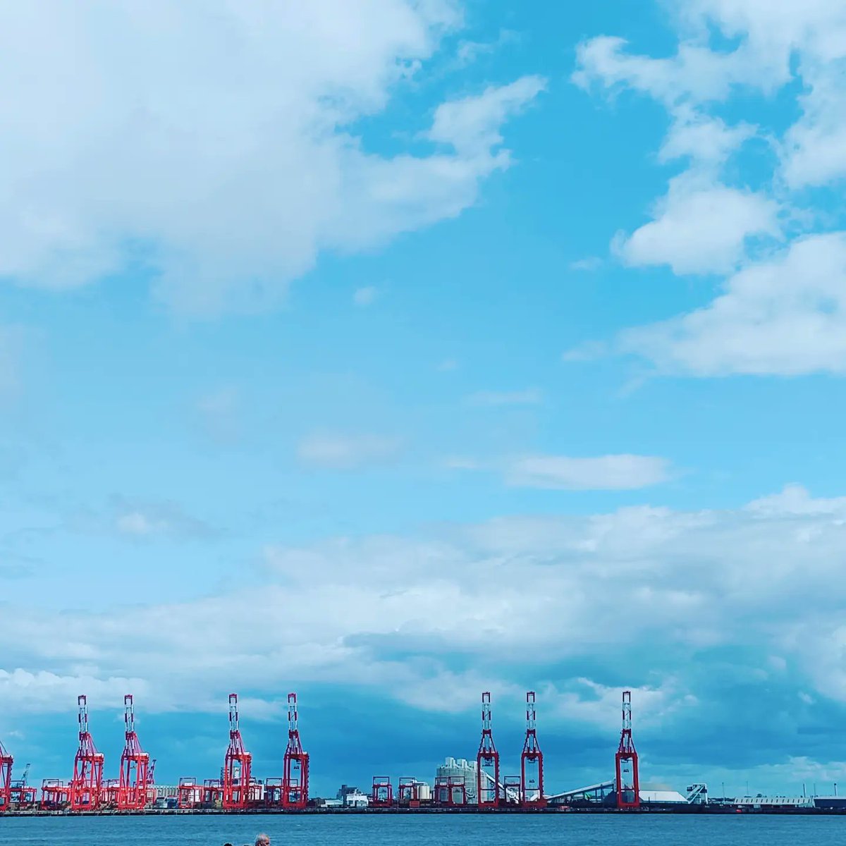 Today's fabulous venue! <a href="/FloralPavilion/">Floral Pavilion</a> 🤩 Filming <a href="/3Dinteract/">3D Interact</a>'s funtastic show!
🐰🦊🐍🐻
Check out their website for their future events! 

#3dinteract #theforgottenforest