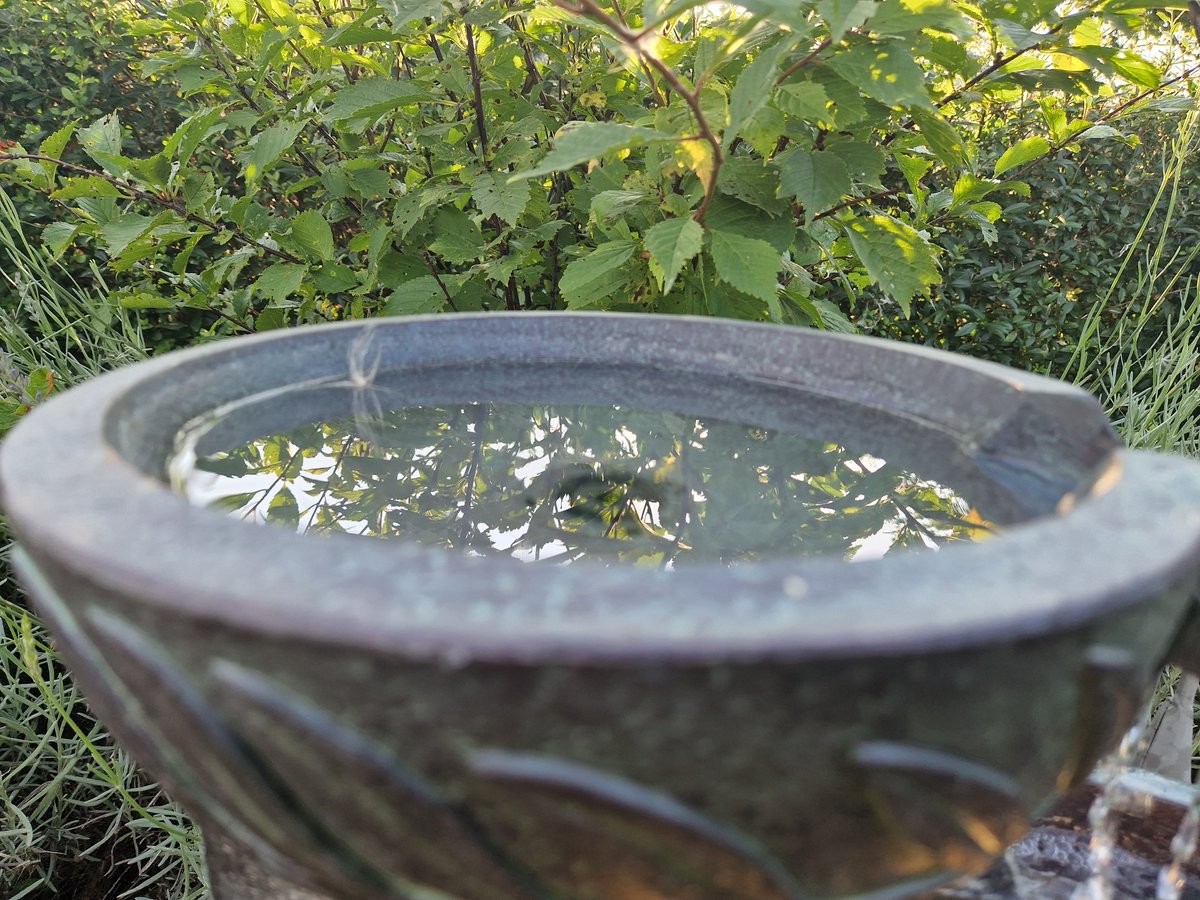 maideninthewood's tweet photo. Hier verlangen Männer grad nach einer Wasserwaage, um zu gucken, ob der Brunnen gerade ist...

Wer sagt es ihnen? 😬 https://t.co/uPts1bz73v