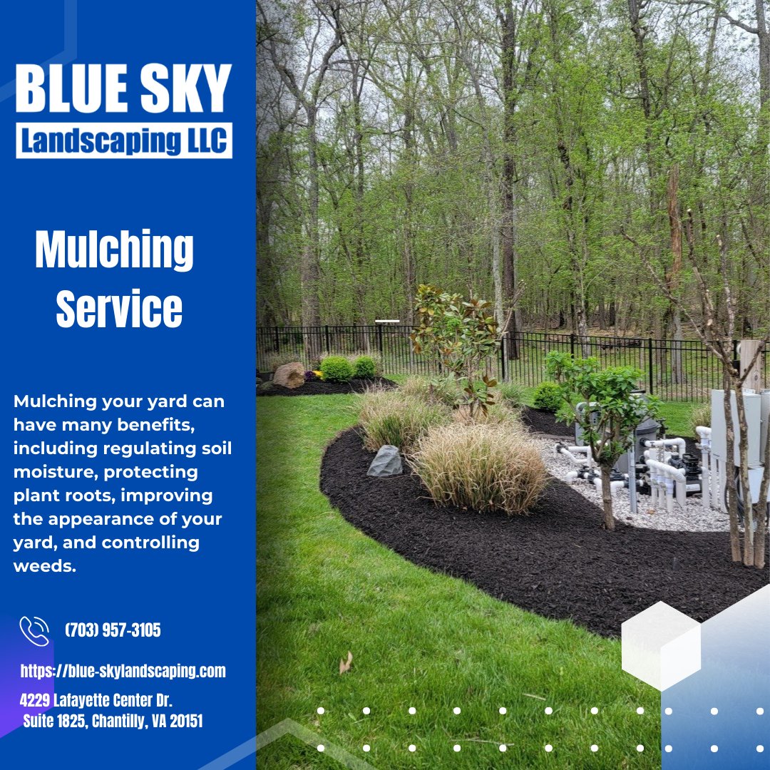 Protect your plants and help them thrive with our premium mulching solutions, designed to retain moisture and provide vital nutrients. 
Hire our Team for your #Mulching needs! 703.957.3105
blue-skylandscaping.com/spring-clean-up 

#lawncare #landscape #mulch