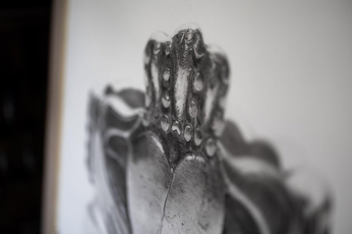 Johnny Corcoran tweet media