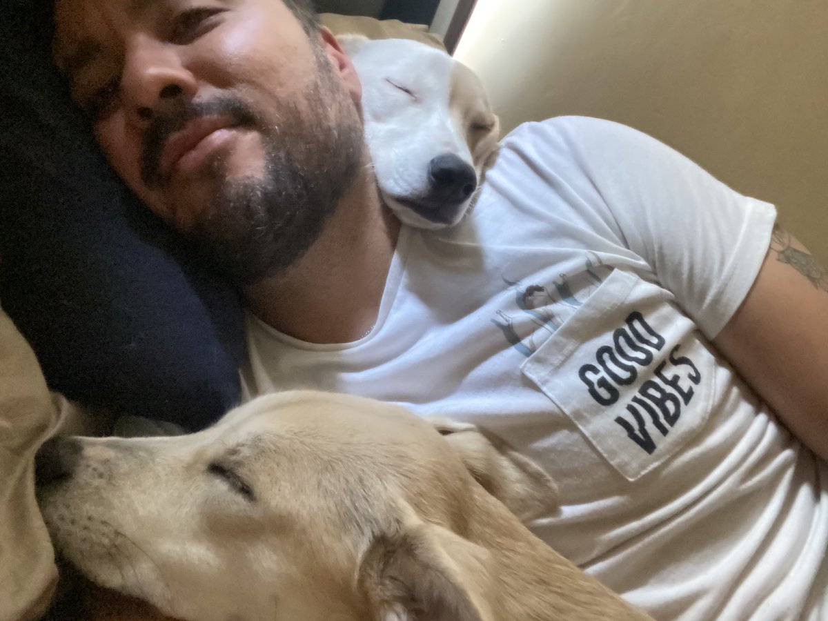luiscarloshdv's tweet photo. Claro que estoy en contra de la humanización de los perros, si lo que deberíamos hacer es perrizar a las personas.
#apestosas #patona #tapón #periquitas https://t.co/qfMzNhAQEJ