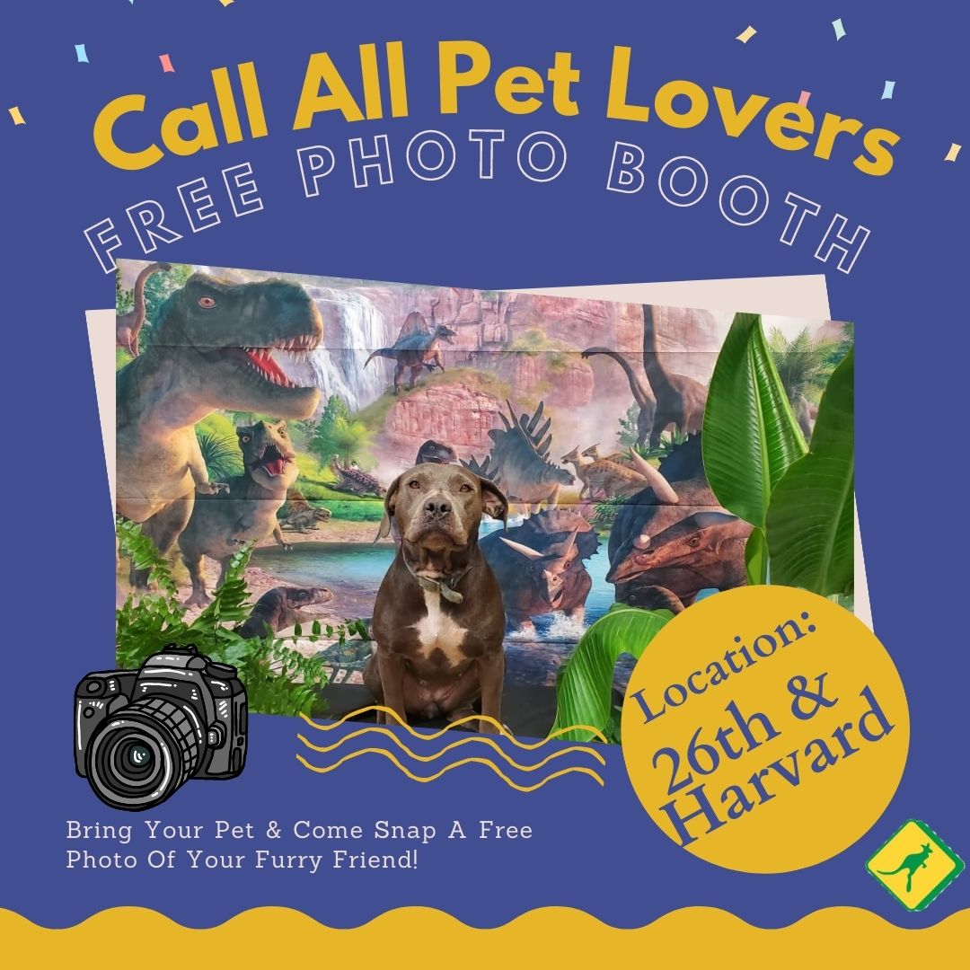 SouthernAgOK's tweet photo. 🦕 Attention all pet enthusiasts! 📷🐾 Grab your beloved furry companion and hop on over to our 26th and Harvard store for an utterly delightful dinosaur-themed pet photoshoot! 🐶🐱 Capture those endearing moments of your four-legged pal amidst playful prehistoric backdrops. 📸🐾 https://t.co/UPCggEjKk3