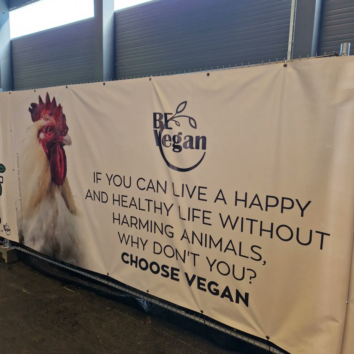 sniprie's tweet photo. Le #VeganSummerFest 2023 #VSF23 de #Gand : événement vraiment top ! Un nombre impressionnant d'exposants présentant leurs produits mais aussi de très nombreuses associations / militants / refuges.
#vegan #govegan #plantbased #festival #vegane #VSF23 https://t.co/1IzdGJAyPR