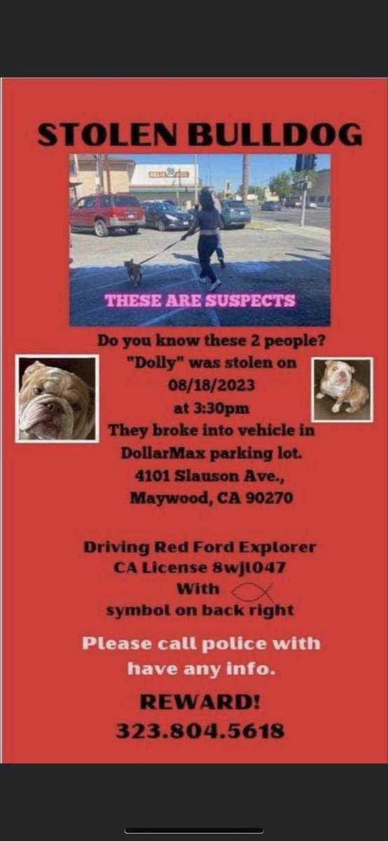 pininas's tweet photo. Dolly has been stolen #stolendog #BBNaija  #ENGESP #bulldog #help #asap #mujeres #KimKardashian #rt #bringbackdolly https://t.co/J1T27bSlZf
