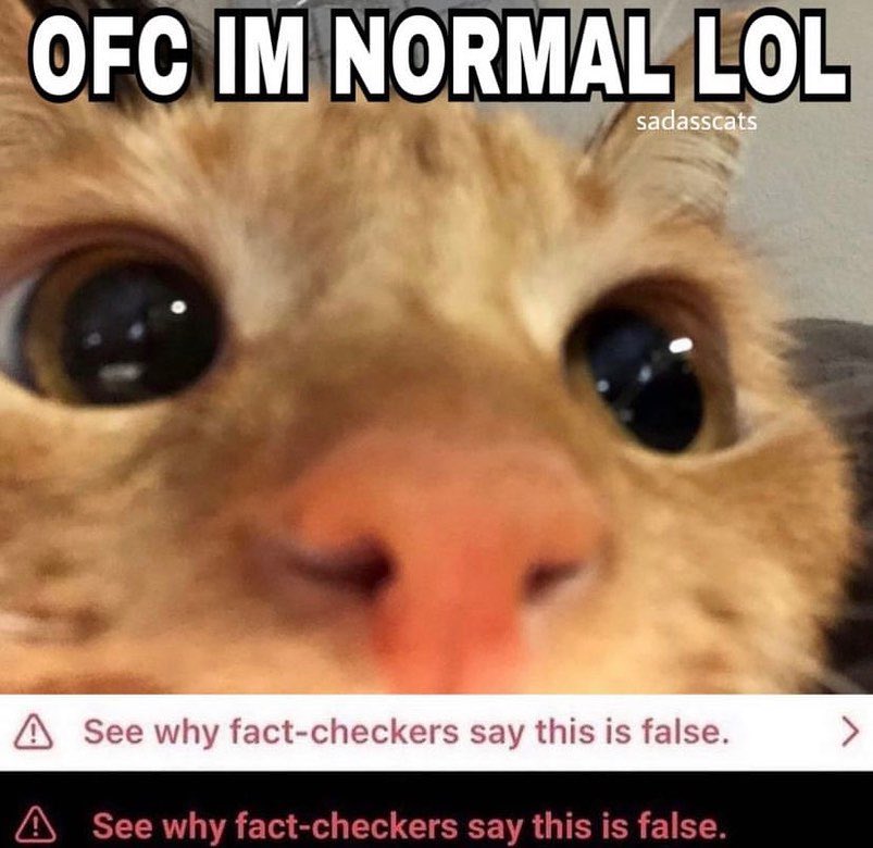 literallymecats's tweet photo. https://t.co/SqnhLesdmU