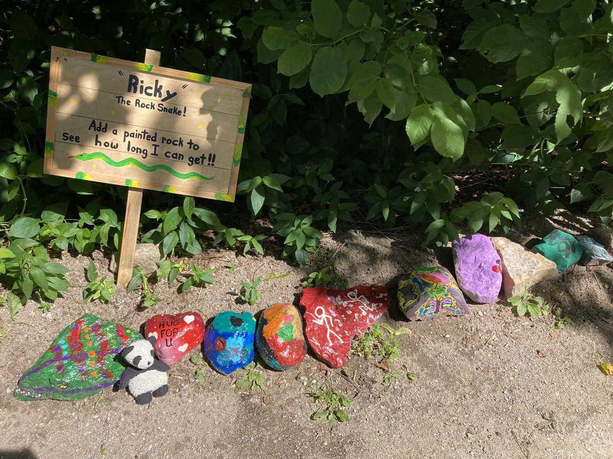 Adventure_Gauss's tweet photo. A few more pictures from my adventure in Orillia! I met a wonderful snake and also saw a huge pine cone. I really enjoyed going along this path in Orillia, my human agreed and said it was a great path for a run. #orillia #pineCone #RockSnake #adventure #runningPath https://t.co/btSd2Mgznn