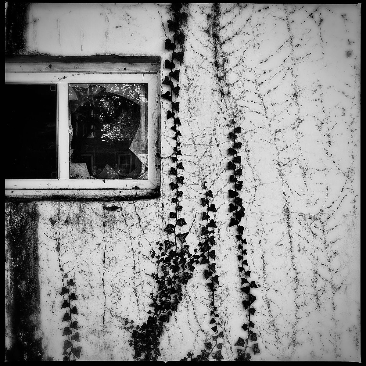 Darrow Montgomery tweet media