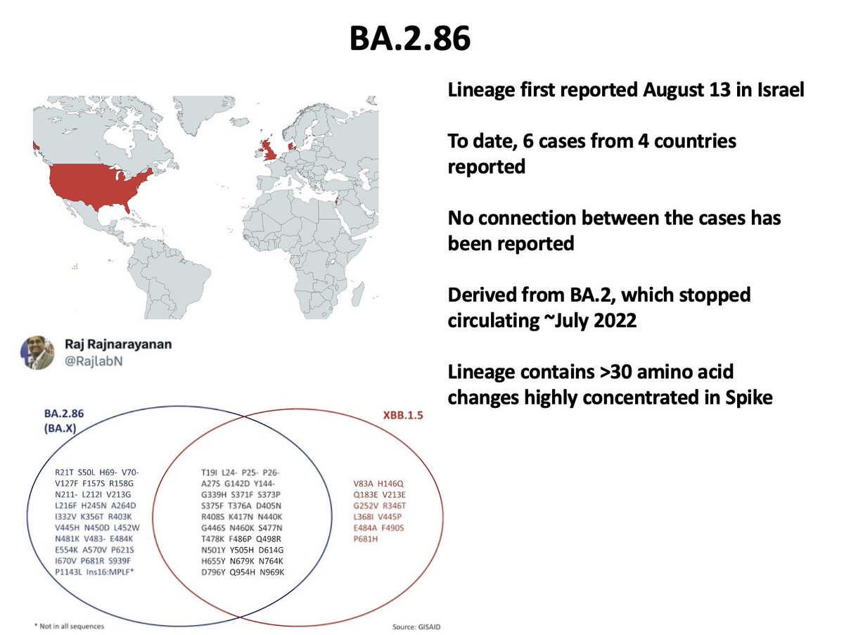 Here are some slides for a BA.2.86 introduction I'm giving.   
The lineage has appeared in 4 countries in the last week and none of the 6 cases appear to be related.

1/6