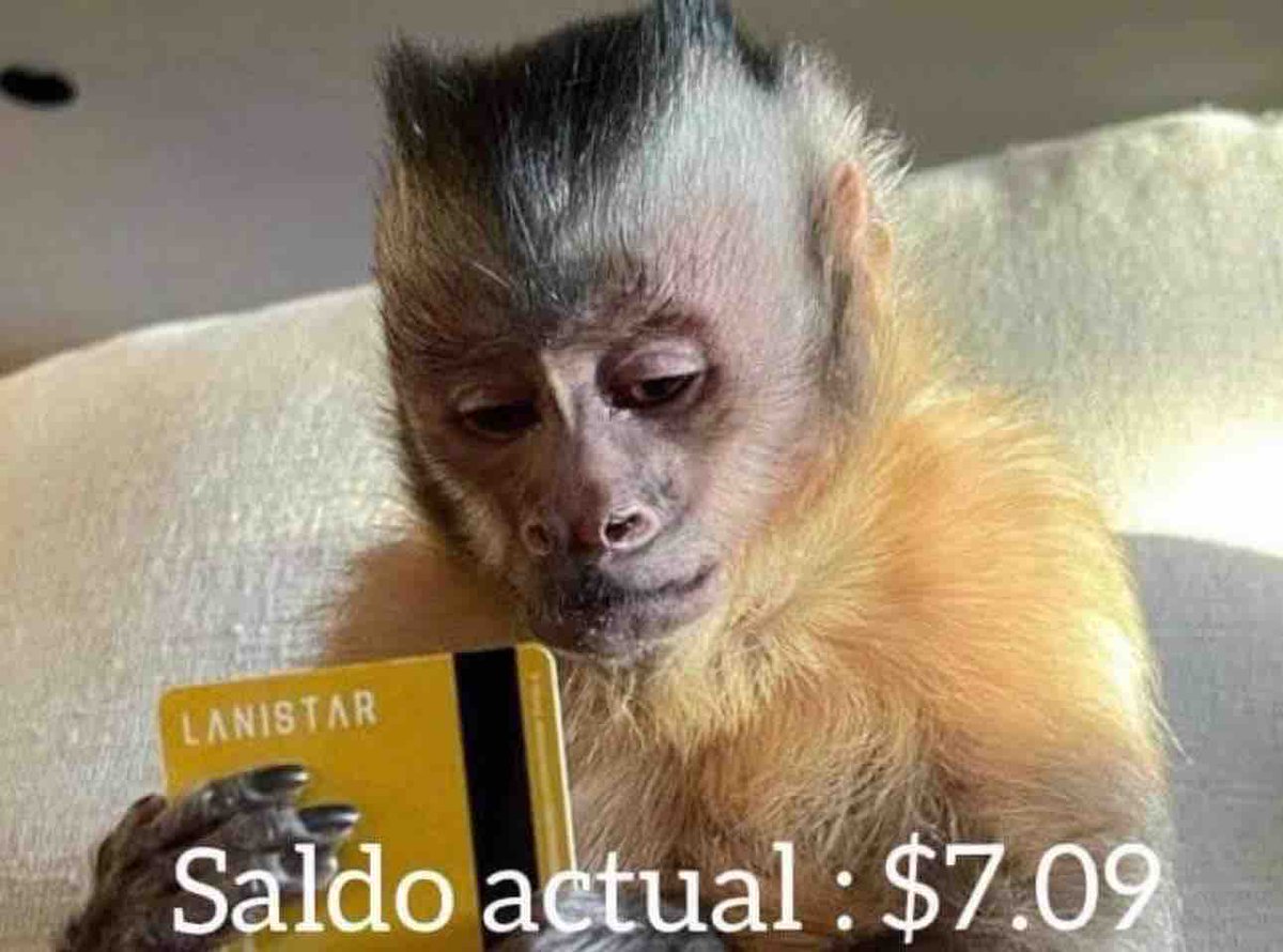 Guarromantico_'s tweet photo. “Estás en la mejor etapa de tu vida”

Yo: https://t.co/1XsHbLysC9