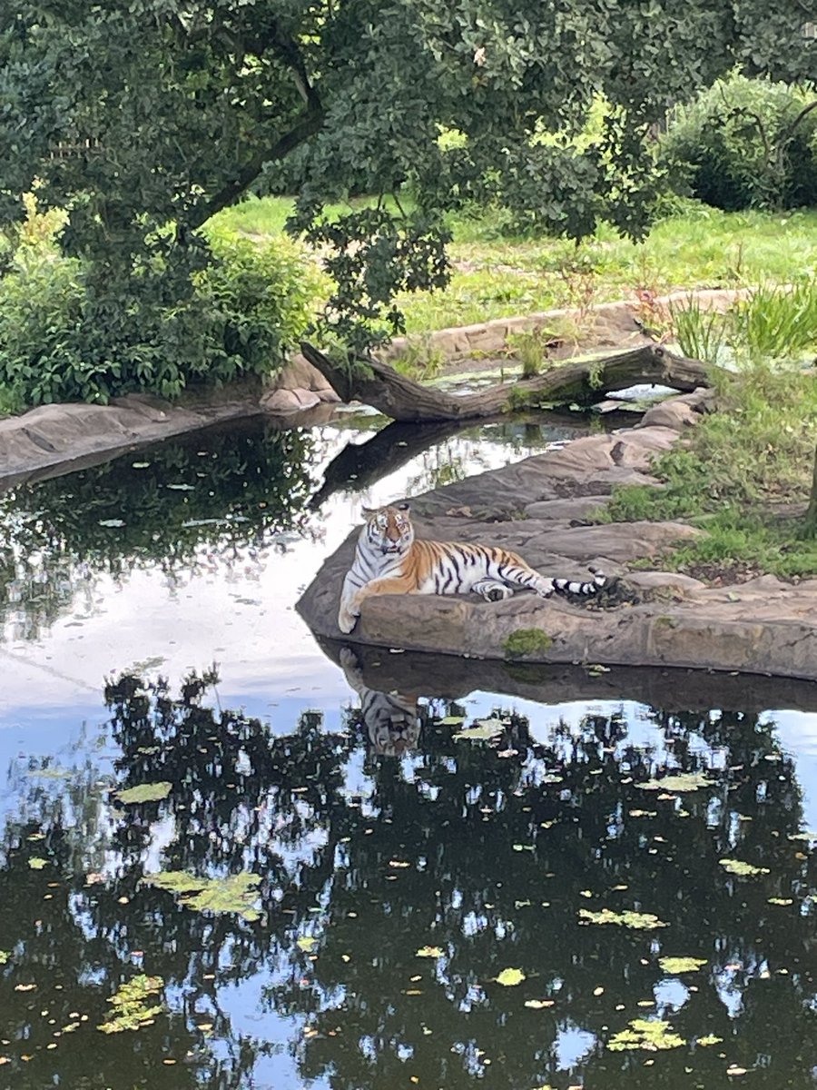 JudeVBolton's tweet photo. Fun day walking around @BlairDrummondSP for #AHPsActive https://t.co/1WFIJsYAAb