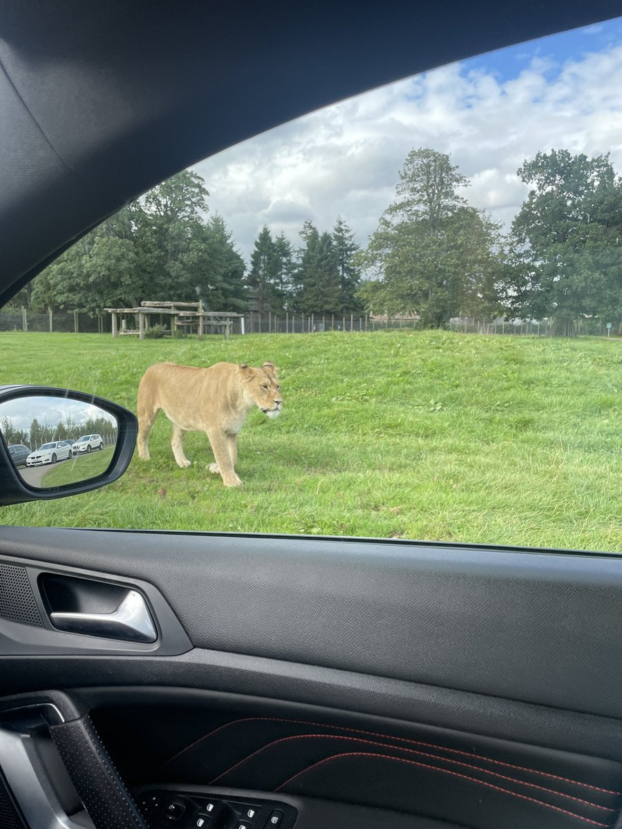 JudeVBolton's tweet photo. Fun day walking around @BlairDrummondSP for #AHPsActive https://t.co/1WFIJsYAAb