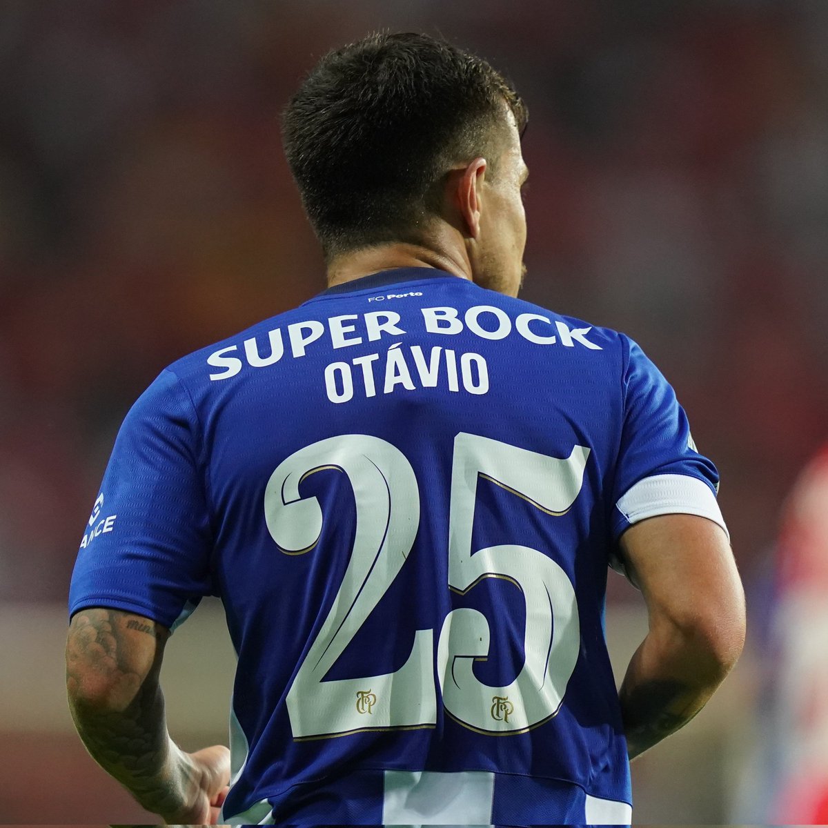 Otávio, imortal por direito!💙