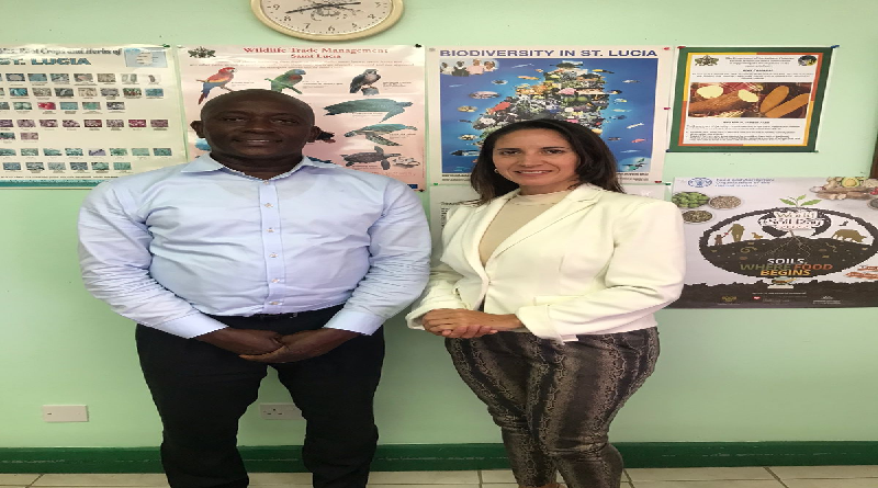 Autoridades de Santa Lucía y Venezuela profundizan relaciones en materia de pesca goo.su/win5w
#EstaEsNuestraCultura