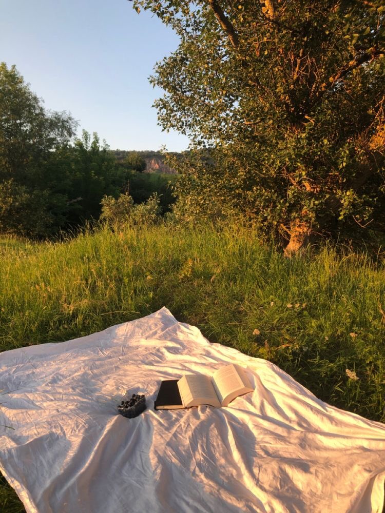 violettweets_'s tweet photo. summer picnic. https://t.co/yKyqmaJset