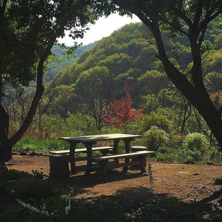 violettweets_'s tweet photo. summer picnic. https://t.co/yKyqmaJset