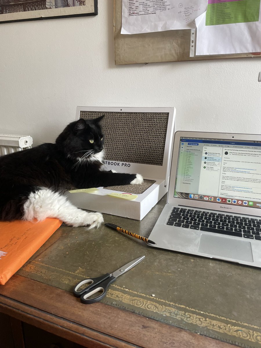 ischwabel's tweet photo. @CatWorkers Alan 2 screens https://t.co/116ZSHHXFm