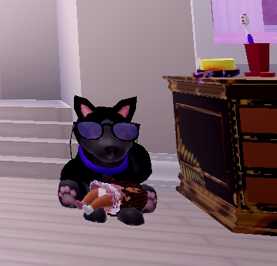 Lumineep's tweet photo. My cool dog with her doll in dorms #royalehighdorms #royalehighcampus3 #royalehighnewschool https://t.co/toaiKmVoxA