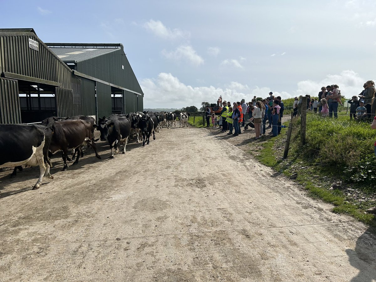 Congratulations to @Shanefitzy90 and family today on hosting a fantastic open farm event in collaboration with @agriaware. We were delighted to be an event partner and give many visitors the opportunity to experience firsthand farm life while sampling some @AvonmoreProtein